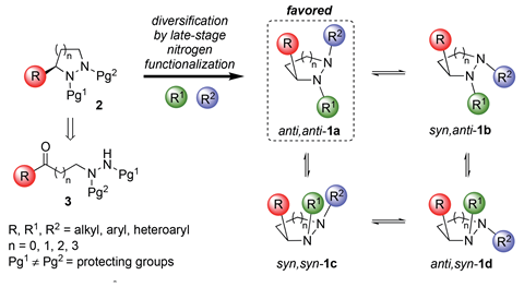 A scheme showing the synthesis of predictable, non-planar frameworks