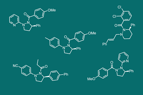 An image showing readily accessible sp3-rich cyclic hydrazine frameworks