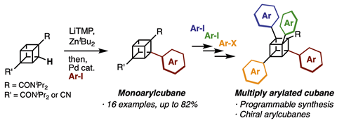 An image showing the programmable synthesis of diverse multiply arylated cubanes