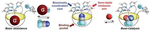 Basic assistance for acidic guest binding