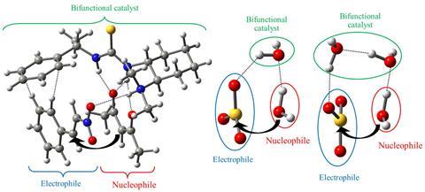 Bifunctional catalytic role of water clusters