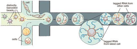 Drop-seq scheme