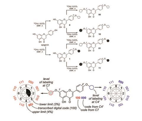 Encoding matter with regiospecific 12C/13C isotopic labels