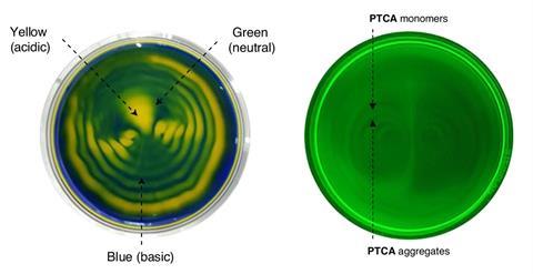 An image showing the circular patterns created with sound-generated pH domains