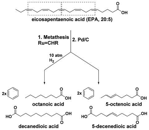 Self-metathesis of eicosapentaenoic acid – molecular structures and schematic