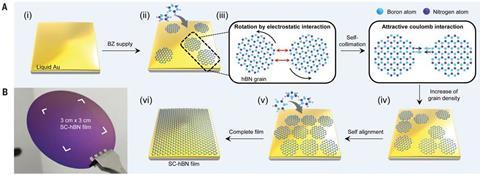 Schematic illustration for the growth of SC-hBN film and Photograph of a wafer-scale SC-hBN film on a SiO2-Si wafer.