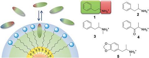 Schematic of a system to recognise narcotic compounds