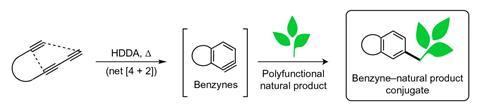 Synthesis of Benzyne -natural product conjugate - Fig 1a - Main
