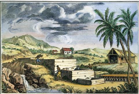 Black slaves working on an indigo plantation in the West Indies