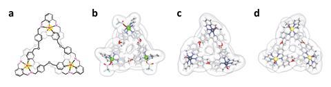 An image showing the structures of metal–organic trefoil knots