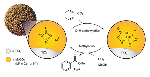 A scheme showing a closed cycle for the esterification of benzene using CO2 and methanol