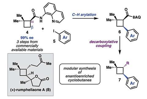 A scheme showing a C–H functionalization strategy to access (+)-rumphellaone A