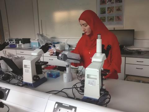 Saluf Assi testing Viagra samples in lab