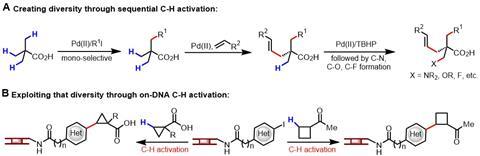 A diagram showing the reaction involved in C-H activation.
