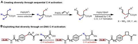 Dna Compatible C H Activation Method Set To Benefit Drug Discovery Research Chemistry World