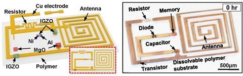 circuit diagram and photograph of the soluble electronics