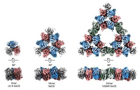 El primer fractal molecular regular de la naturaleza.  investigación