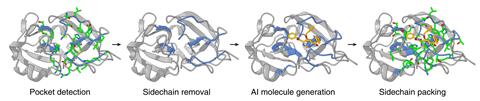 A series of four protein structures. In the first a detected pocket has been highlighted; in the second side chains are highlighted; in the third an AI-generated molecule is inserted into the pocket; in the fourth sidechains are reintroduced