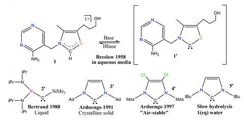 Examples of carbenes
