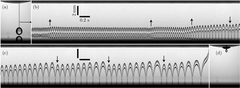 Bouncing Leidenfrost droplet