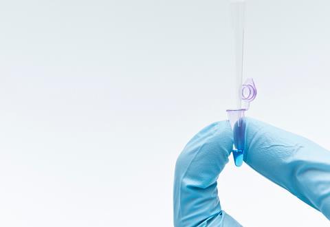 Researcher grabs PCR tube and mixed Taq polyperase enzyme, nucleotides, DNA for PCR reaction