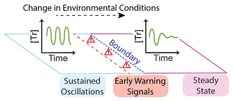 An scheme showing the effects of the change in environmental conditions