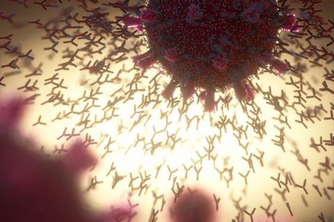 An image showing coronavirus an antibodies