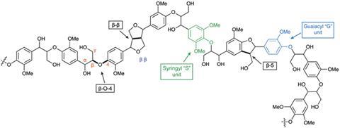 Structural representation of a lignin fragment illustrating selected linkages