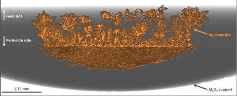 An image showing Ag dendrites