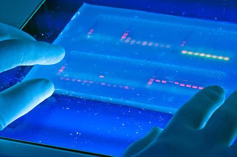 Agarose gel with UV illumination - Ethidium bromide stained DNA glows orange (close-up)