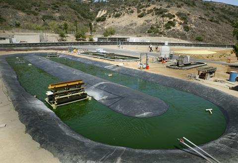 The algae farm outdoor growth facility at General Atomics in San Diego