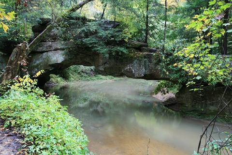 Rock bridge over swift camp creek in the clifty wilderness of the red river gorge, Kentucky