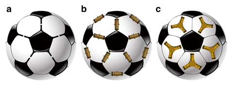 An image showing three strategies for capsid formation from pentatopic tectons using the common image of a soccer ball