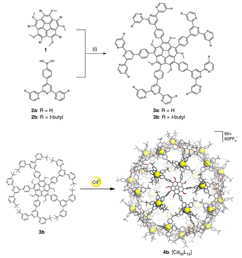 An image showing the ligand synthesis and molecular self-assembly