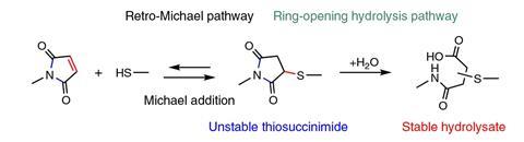 A scheme showing the ring-opening hydrolysis pathway