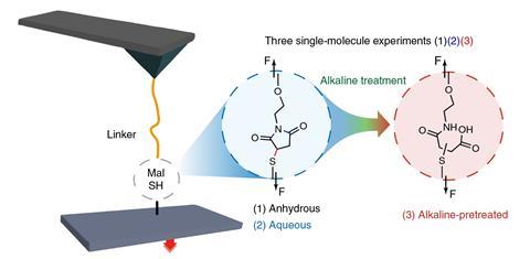 A scheme showing the single-molecule force spectroscopy experiments 