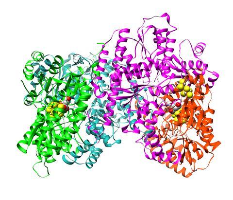 An image showing a nitrogenase protein