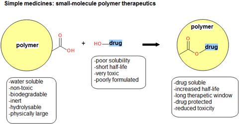 Small molecule polymer therapeutics