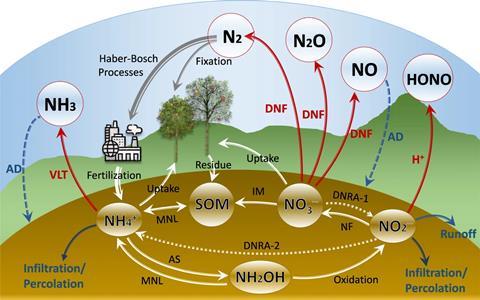 Mechanisms of nitrogen fertilization in soil systems and the associated nitrogen cycles