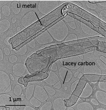 Microscope image