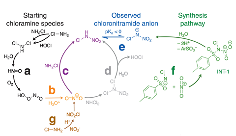 A chemical pathway