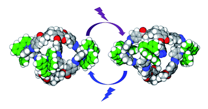 An image showing cyclotriguaiacylene