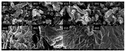 An image showing SEM images of (A) Ho-GO-BD, (B) Hu-GO-BD, (C) Ho-GO, and (D) Hu-GO with magnification of 3000× and 40,000× with scale bars of (top row) 1 μm and (bottom row) 100 nm
