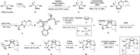 Total synthesis of the reported structure of ceanothine D