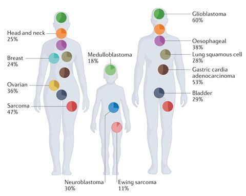 ecDNA frequency across primary cancers: Head and neck 25%; Breast 24%; Ovarian 36%; Sarcoma 47%; Glioblastoma 60%; Oesophageal 38%; Lung squamos cell 28%; Gastric cardia adenocarcinoma 53%; Bladder 29%; Medulloblastoma (child) 18%; Neuroblastoma (child) 30%; Ewing sarcoma 11%.