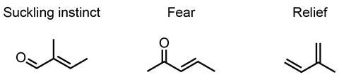 A diagram showing the molecular structure of three pheromones