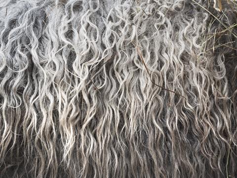 Woolen fleece