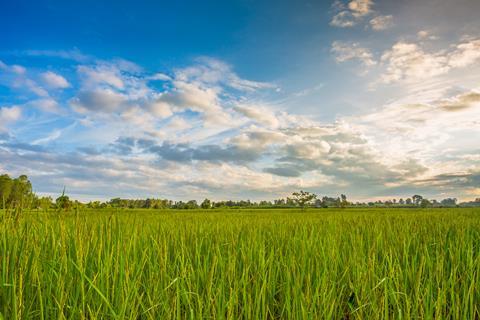 Green field under blue sky with white clouds