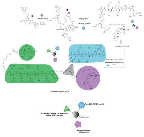 A scheme showing the simultaneous co-activation of cell-surface active, endosomal and cytosolic immune receptors