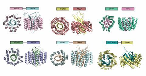 The structures for six different ring shaped proteins showing the side view and overhead view which includes the hole at the centre of the structures. Each has an outer layer of helices and an inner layer of folded sheets.